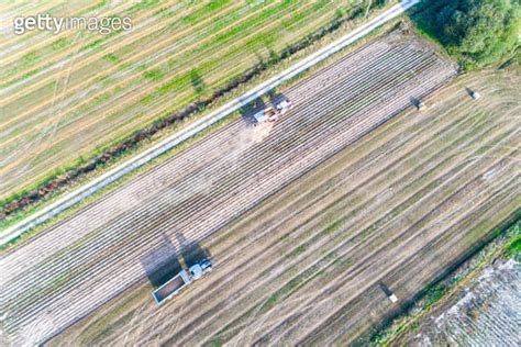 Aerial Drone View Of A Tractor And Combine Harvester In An Agricultural