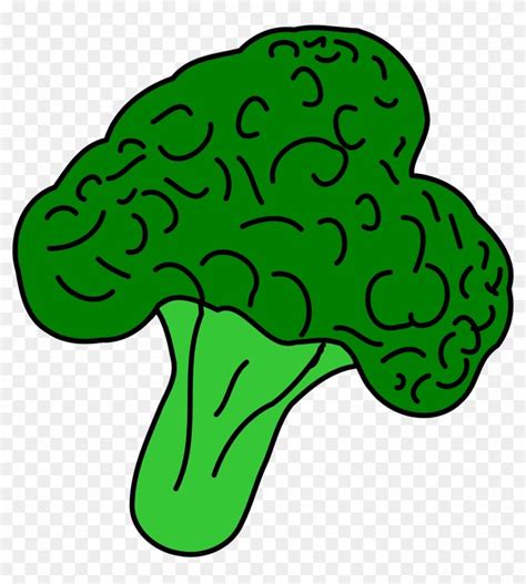 Broccoli Vegetable Healthy Food Png Image - Broccoli Clipart ...