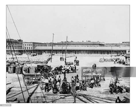 Antique Photograph Of View Of Levees Of New Orleans19th Century High ...