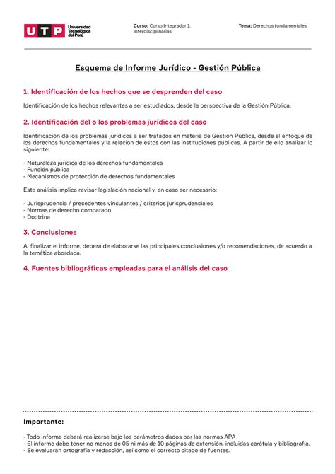 Esquema De Informe Jur Dico Curso Curso Integrador