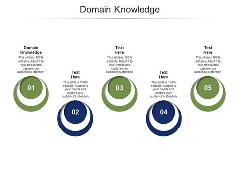 Domain Knowledge Ppt Powerpoint Presentation Summary Picture Cpb