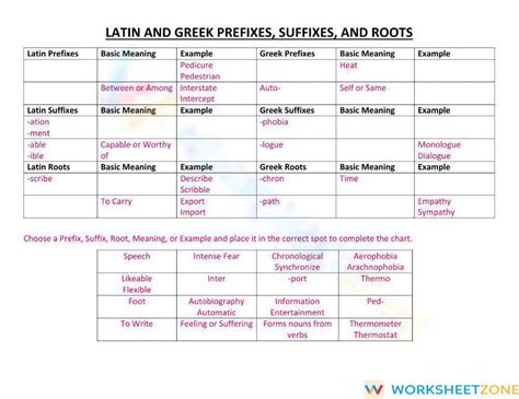 Greek And Latin Affixes And Roots Worksheet