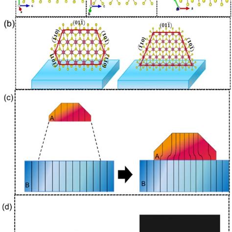 Pristin Sns2 Nanosheet Based Photodetector A Schematic And B C