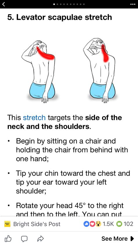 Shoulder and neck stretch – Artofit