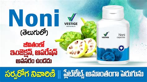 Vestige Noni Benifits Vestigenoni Vestige Noni Capsules Benifits