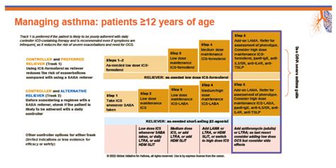 Gina Guidelines For Asthma Outlet A Lok