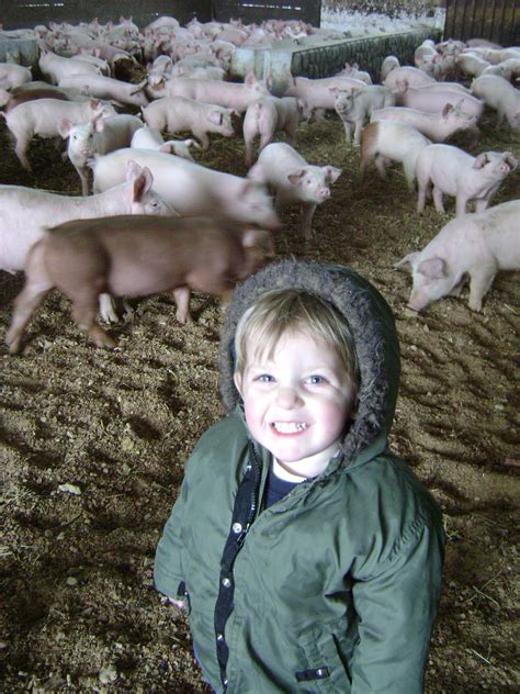 Falslev Family: Fun on the pig farm!