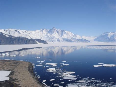 O Que E Clima Polar - Clima Polar: [Características, Flora, Fauna y Adaptabilidad]