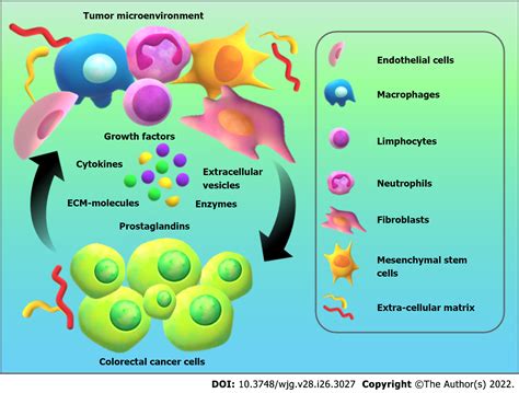 Tumor Microenvironment Involvement In Colorectal Cancer Progression Via