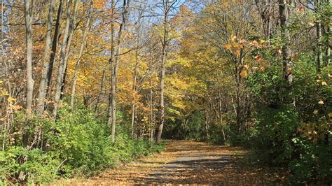 Central Ohio Greenways | Columbus Recreation and Parks Department