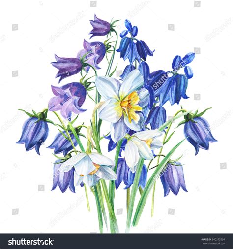 Bouquet Flowers Daffodil Bluebells Blue Watercolor Stock Illustration