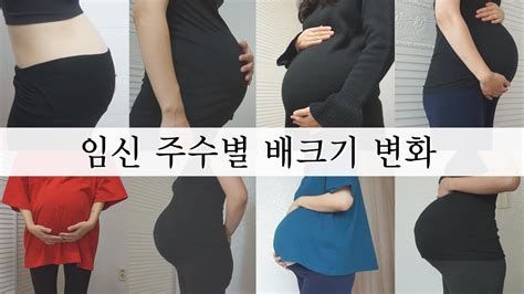 Sub 임신 주수별 배크기 변화 초기부터 막달까지 My Pregnancy Transformation Time Lapse