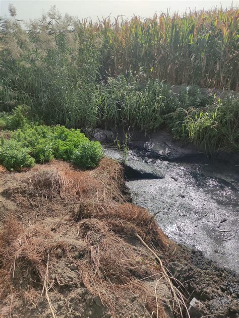 MANTENIMIENTO LABORES DE LIMPIEZA Y MANTENIMIENTO EN LA BARRA DE LA