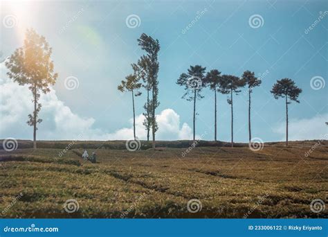 Telaga Saat Puncak Cisarua Bogor Indonesia Stock Photo - Image of saat, plain: 233006122