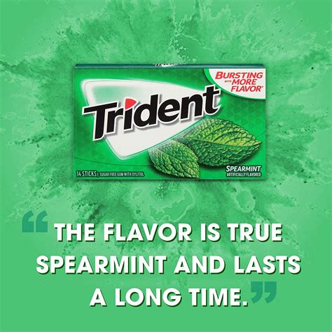 Trident Spearmint Sugar Free Gum 168 Pieces 12 Packs 14 Pieces Each