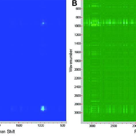 Synchronous A And Asynchronous B D Raman Correlation Spectra Of