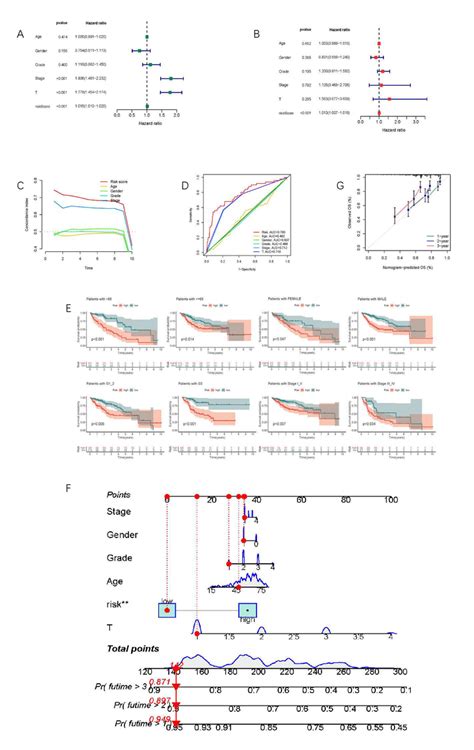 Correlations Between Risk Score And Different Clinicopathological