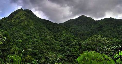 Cordillera Central, Puerto Rico : Photo Albums : SummitPost