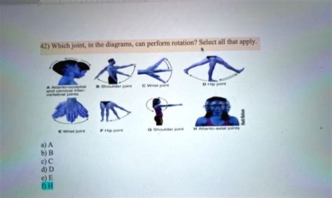 VIDEO solution: 42 Which joint, in the diagrams, can perform rotation ...