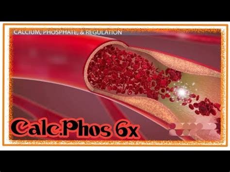 Calc Phos Homeopathic Medicine Calc Phos 6x Benefits In Hindi YouTube