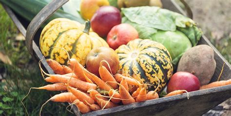 Fall Fruits And Vegetables To Try This Season Bon Secours Blog