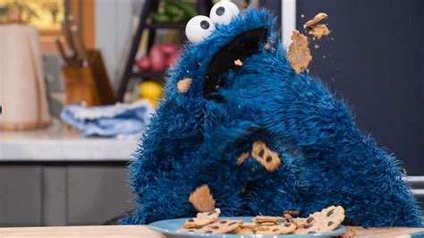 The Inspiration Behind Cookie Monsters New Book The Joy Of Cookies