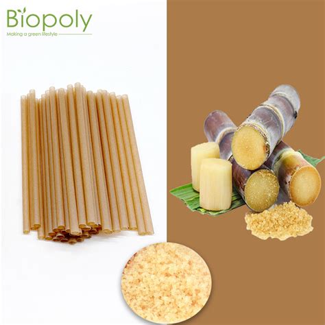 China Vegetable Fiber Individual Wrapped Sugarcane Bagasse Straw