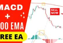 MACD 200 EMA Trading Strategy Tested With An Expert Advisor TST Life