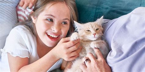 Cat Diarrhea: Causes, Symptoms & Treatment | Purina US