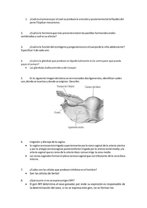 Parcial Sex Jhviyubblbkjjn N Gcdrhghkvkjbnn Yufvhh Jm B M Ctgcbbm Cul Es El Proceso Por