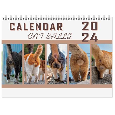 Cats Butts 2024 For Cats Lovers Funny Cats Calendar Butt Calendar