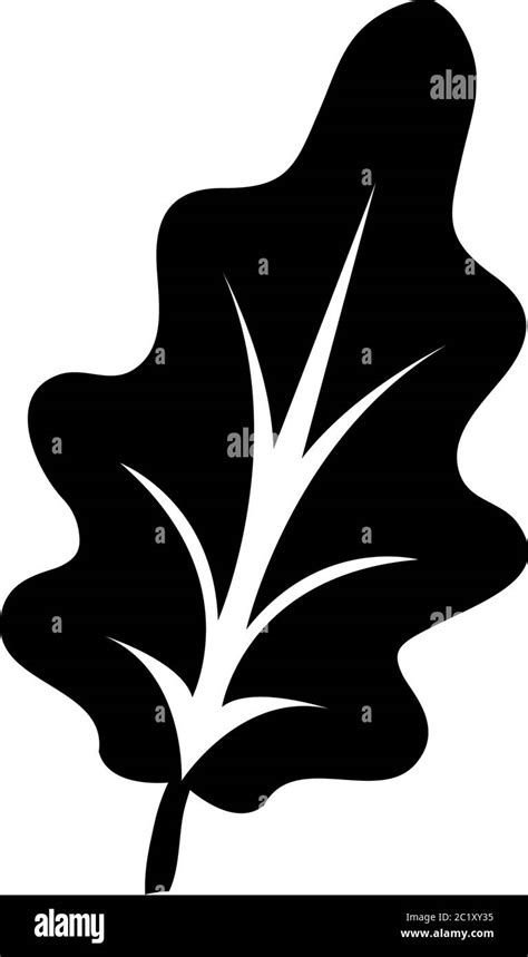 Eiche Blatt Silhouette Wald Pflanze Baum Abbildung Des Symbols F R