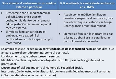 Incapacidad Por Maternidad C Mo Debes Tramitarla