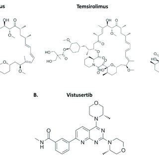 Chemical structure of mTOR inhibitors approved by the FDA. (A) The ...