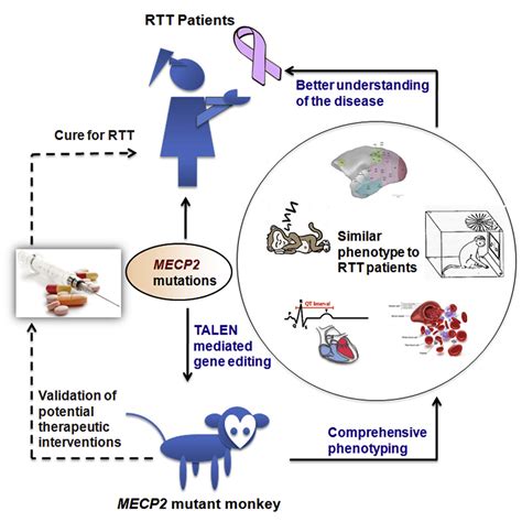 Rett Syndrome Karyotype