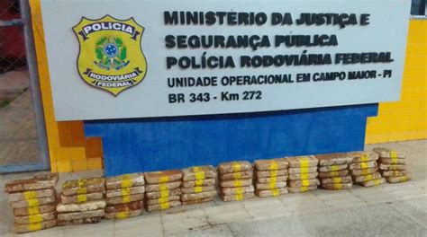 Polícia apreende em Campo Maior PI droga avaliada em mais de R 6