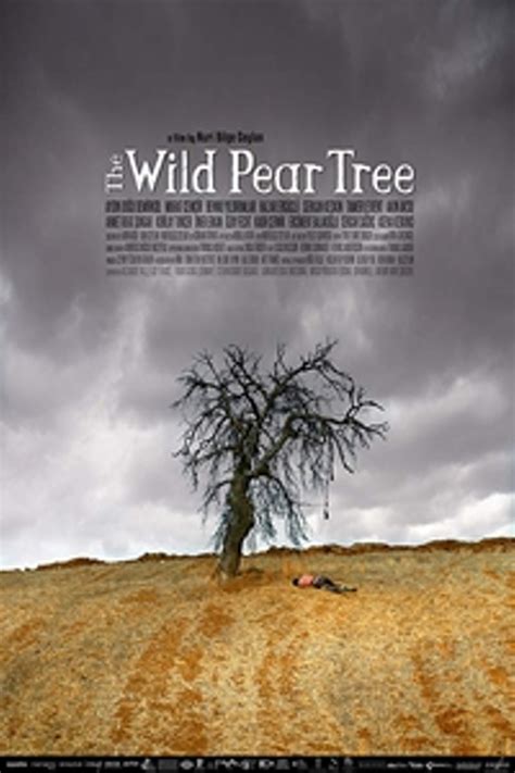 Wild Pear Tree Bonsai & Trees Plants jan-takayama.com