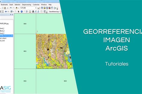 Topolog A En Arcgis Tutoriales Arcgis