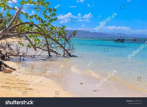 605 Ensenada beach Images, Stock Photos & Vectors | Shutterstock