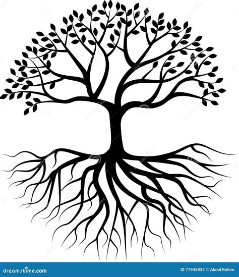 Silhouette D Arbre Avec La Racine Illustration De Vecteur