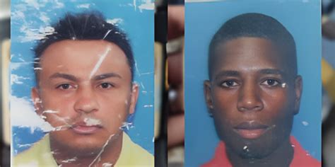 Accidente de tránsito deja dos personas mu3rtas en Punta Cana Las