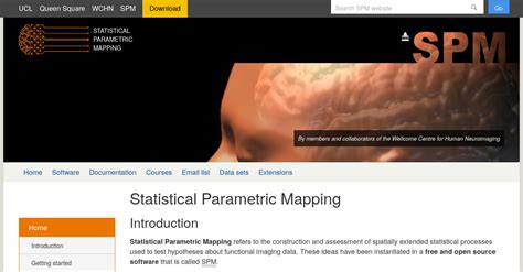 SPM Statistical Parametric Mapping