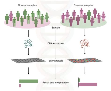 An Introduction To Genome Wide Association Study Gwas