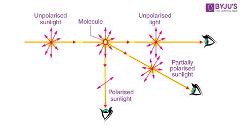 Polarisation By Scattering Meaning Explanation Application And Faqs