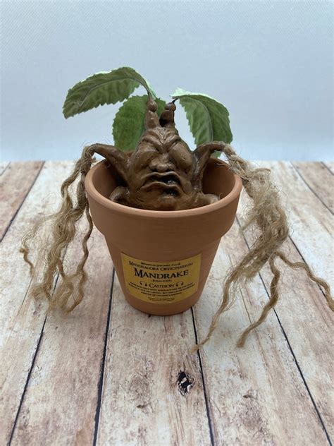 Mandrake Plant Screaming Plant Figurine Mandrake Root Etsy