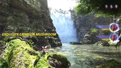 Avatar Frontiers Of Pandora Exquisite Crimson Mushroom Location