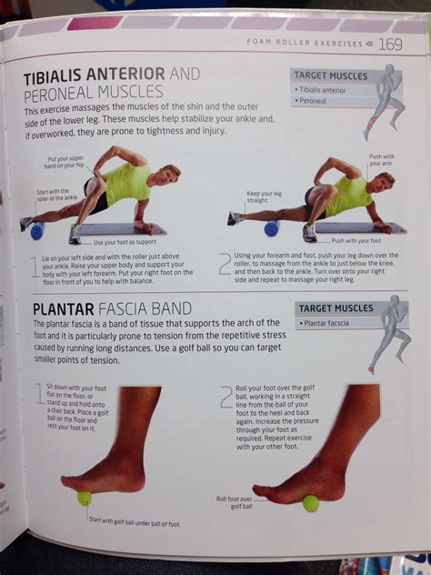 Foam Rolling Tibalis Peroneal And Plantar Fascia Foam Roller Exercises