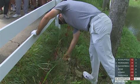 Scottie Scheffler Was Forced To Jump The Fence And Fall After A Bad Tee