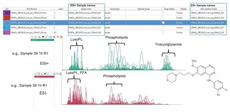 A Rapid Workflow Driven Approach To Discovery Lipidomics Using Ion