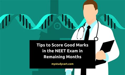 How To Score Good Marks In Neet In Remaining Months